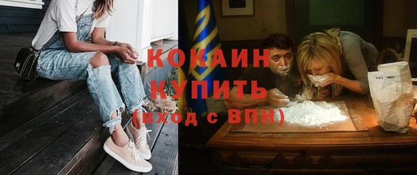 хмурый Бородино