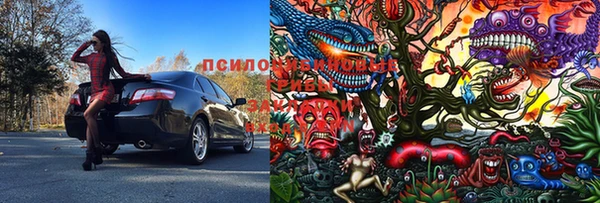скорость Богородск