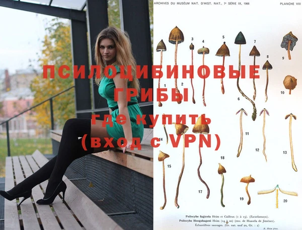 молекула духа Верея