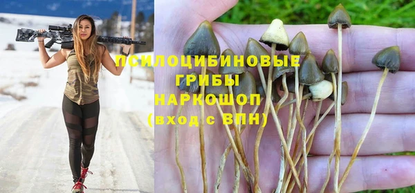 скорость Богородск