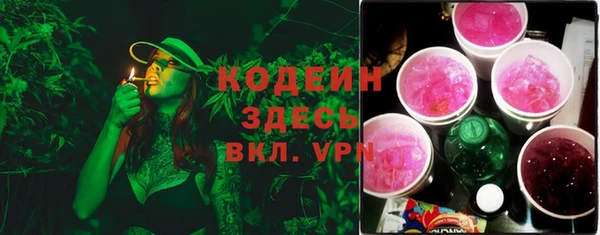 соль ск Верхний Тагил