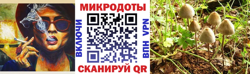 Галлюциногенные грибы прущие грибы  Володарск 
